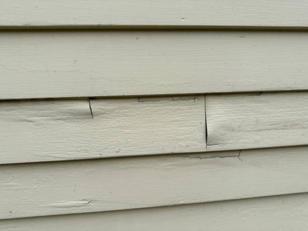 Best Fascia and Soffit Installation  in Shoreline, WA